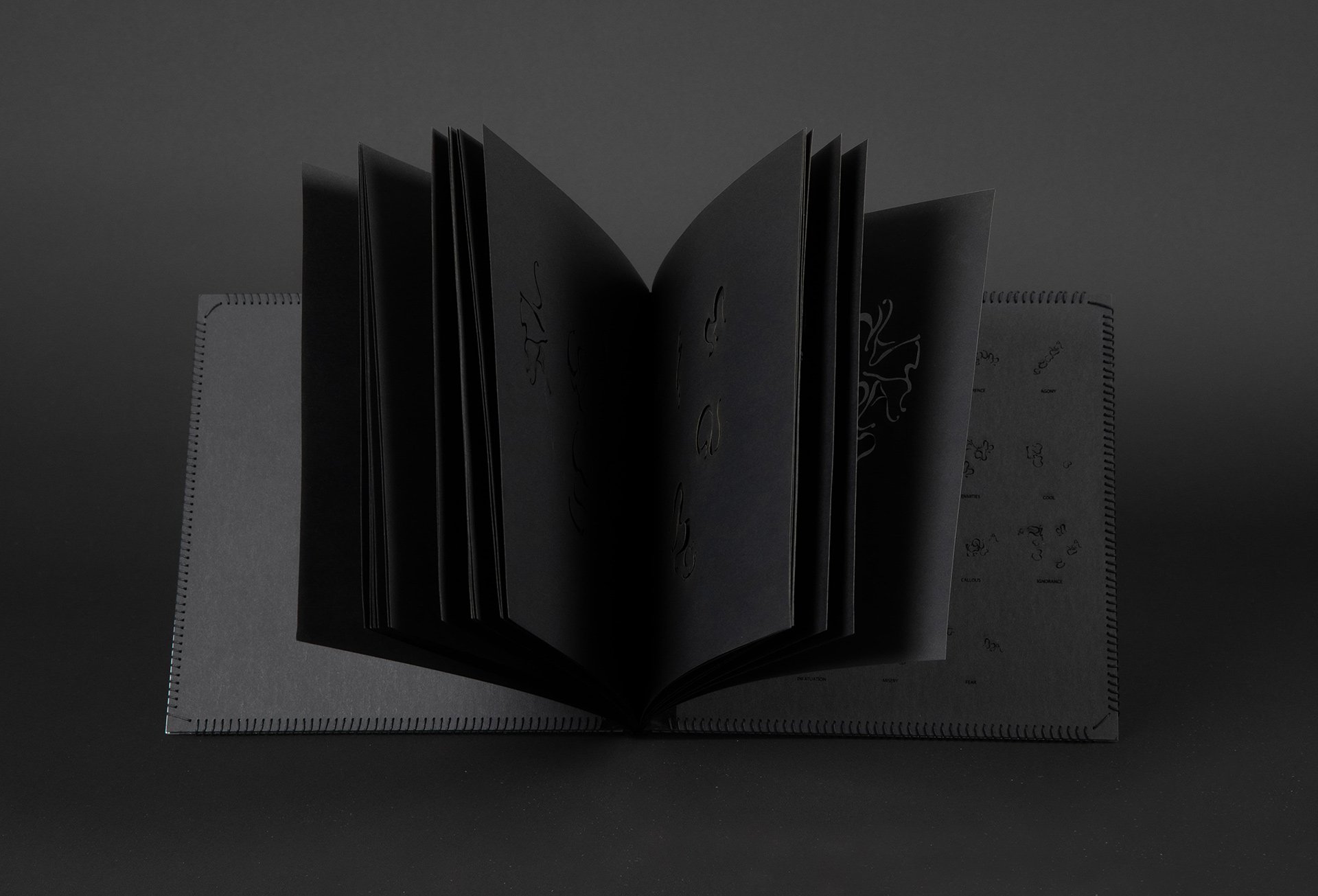 When readers reach the last page, they will understand these questions and discover how these opposites words make up a shape of heart,  a heart that is twisted, blurred and indistinguishable. 